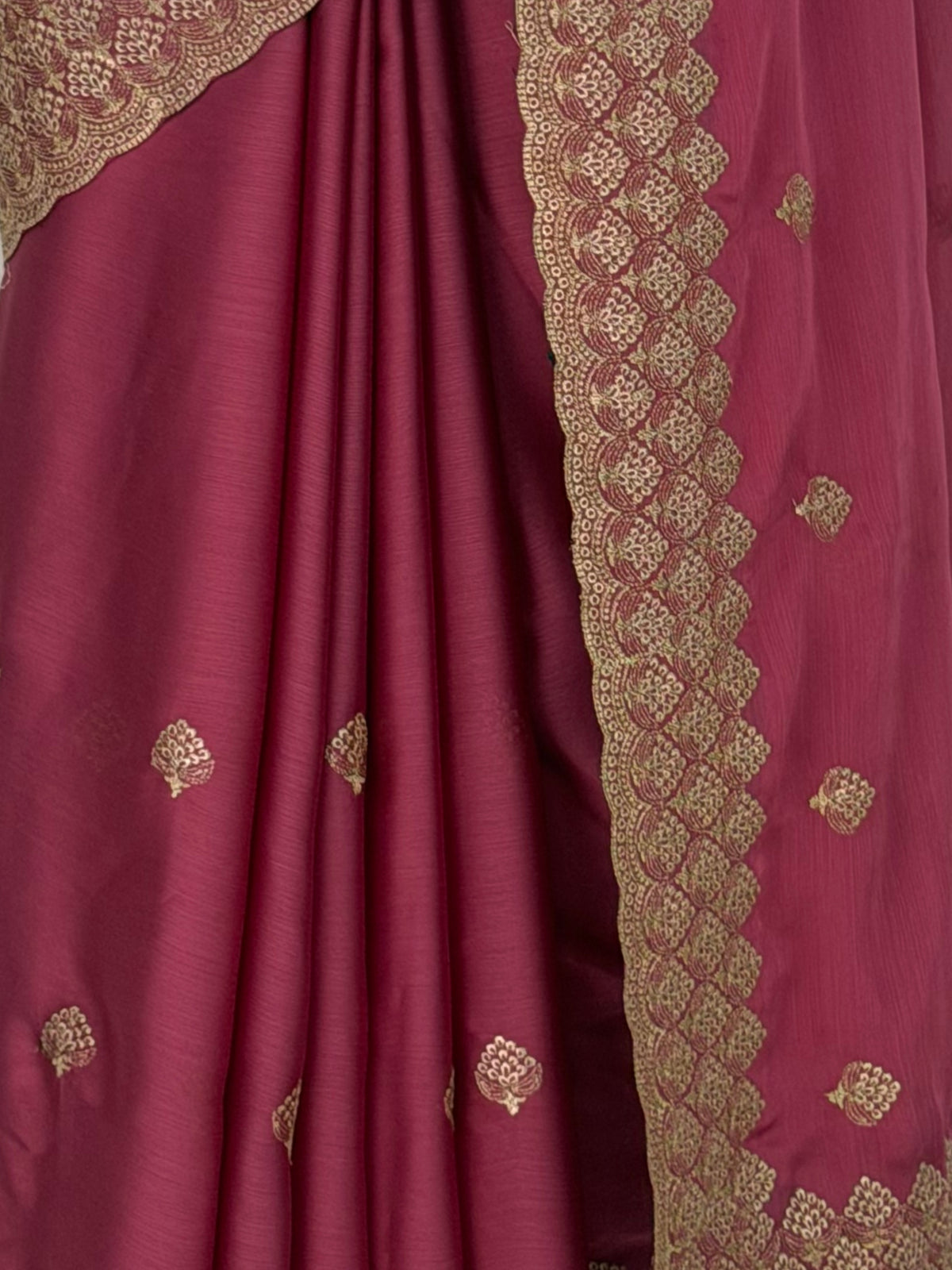 MIMOSA Gajari Banarasi Saree — fleets shot full lifestyle