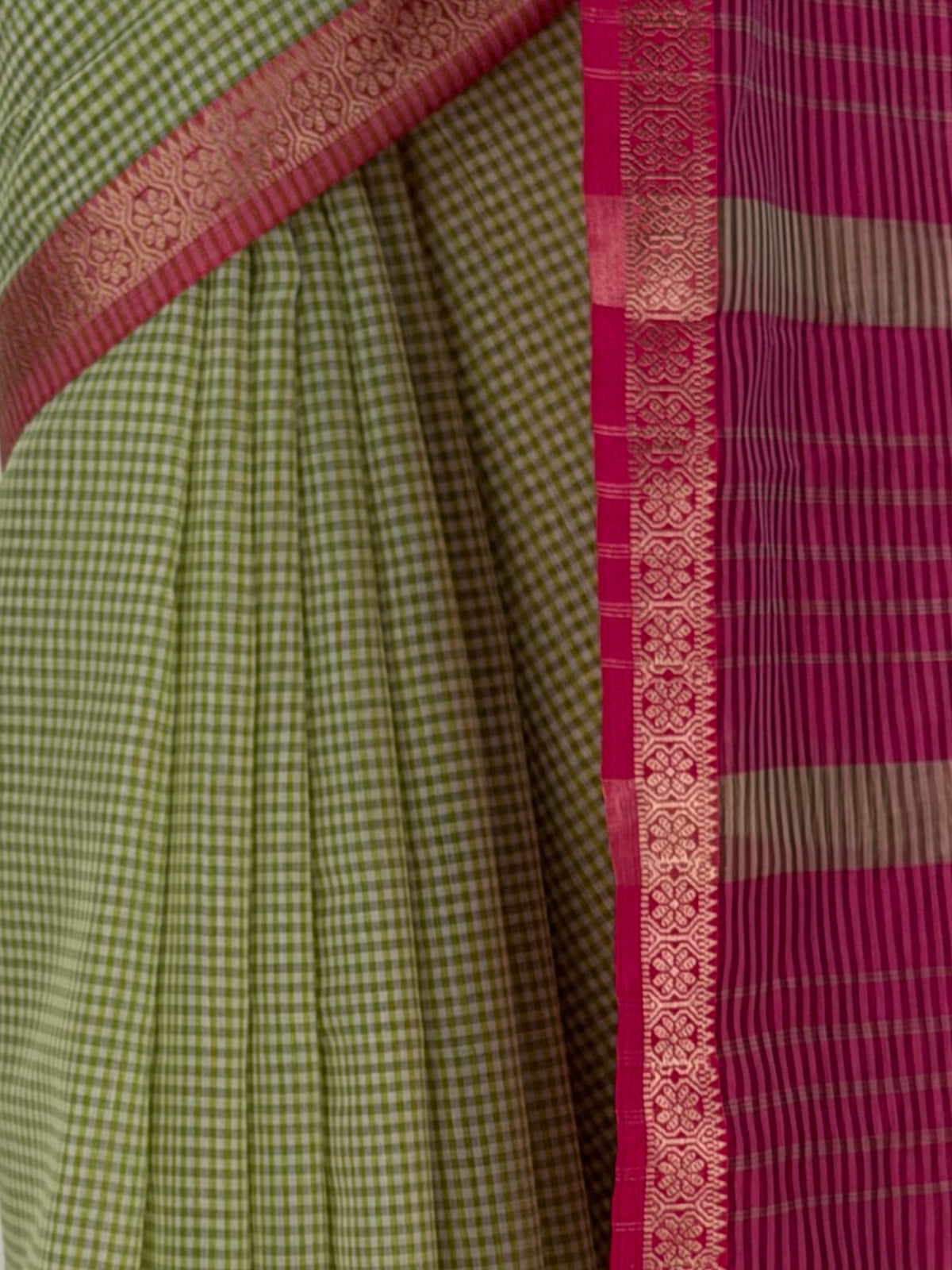 MIMOSA Olive Maheshwari Cotton Cotton Saree — fleets shot full lifestyle