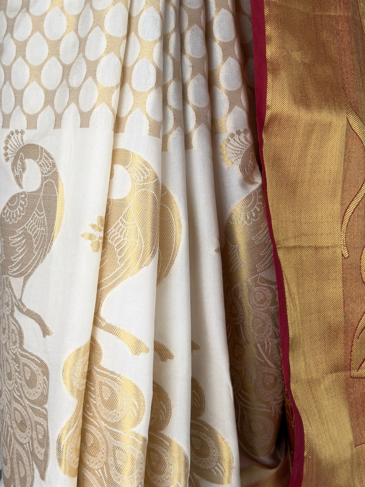 MIMOSA Saree Saree — fleets shot full lifestyle
