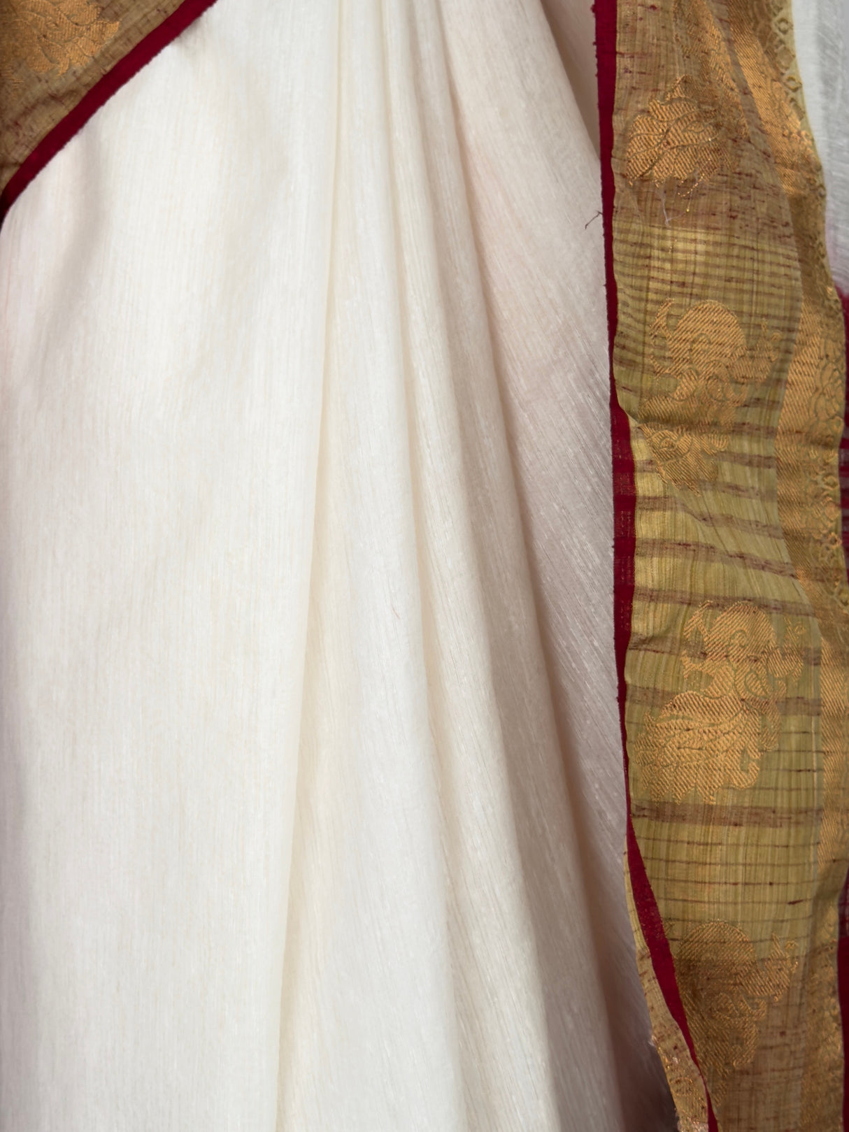 MIMOSA Saree Saree — fleets shot full lifestyle