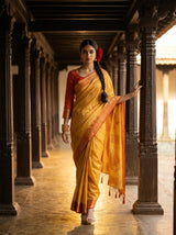 MIMOSA Saree Saree — pose 6 styling detail