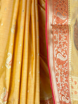 MIMOSA Saree Saree — fleets shot full lifestyle