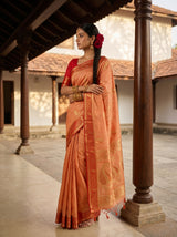 MIMOSA Peach Kanjivaram tusser Saree — saree detail