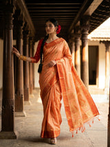 MIMOSA Saree Saree — pose 6 styling detail