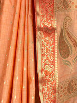 MIMOSA Saree Saree — fleets shot full lifestyle