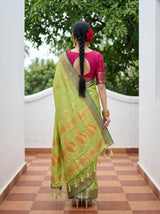 MIMOSA Pista Kanjivaram tusser Saree — model close-up