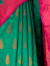 MIMOSA Green Saree Saree — fleets shot full lifestyle