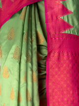 MIMOSA Pista Saree Saree — fleets shot full lifestyle