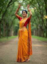MIMOSA Saree Saree — pose 5 styling detail