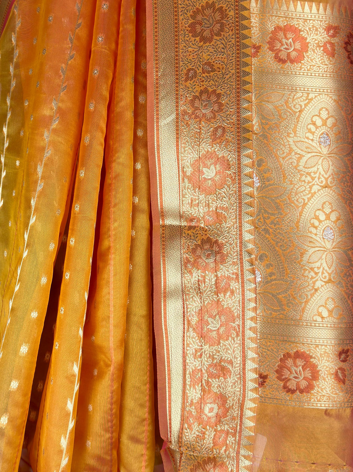 MIMOSA Saree Saree — fleets shot full lifestyle