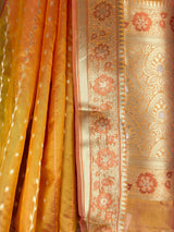 MIMOSA Saree Saree — fleets shot full lifestyle