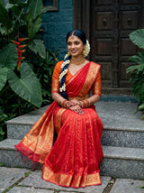 MIMOSA Saree Saree — pose 8 styling detail