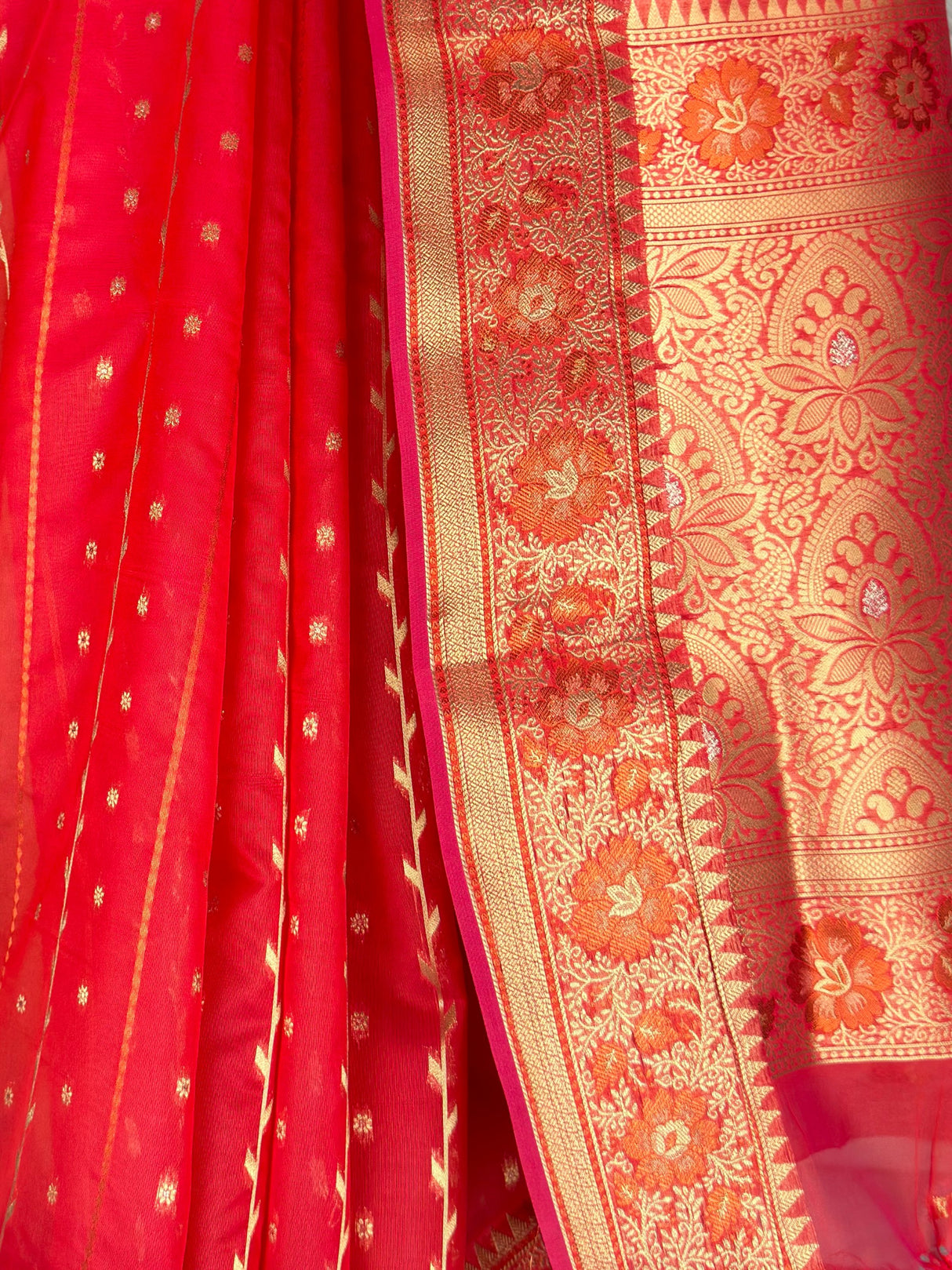 MIMOSA Saree Saree — fleets shot full lifestyle