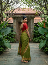 MIMOSA Saree Saree — pose 7 styling detail