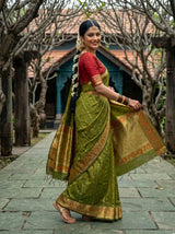MIMOSA Saree Saree — pose 9 styling detail