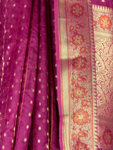 MIMOSA Saree Saree — fleets shot full lifestyle