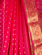 MIMOSA Saree Saree — fleets shot full lifestyle