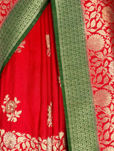 MIMOSA Saree Saree — fleets shot full lifestyle