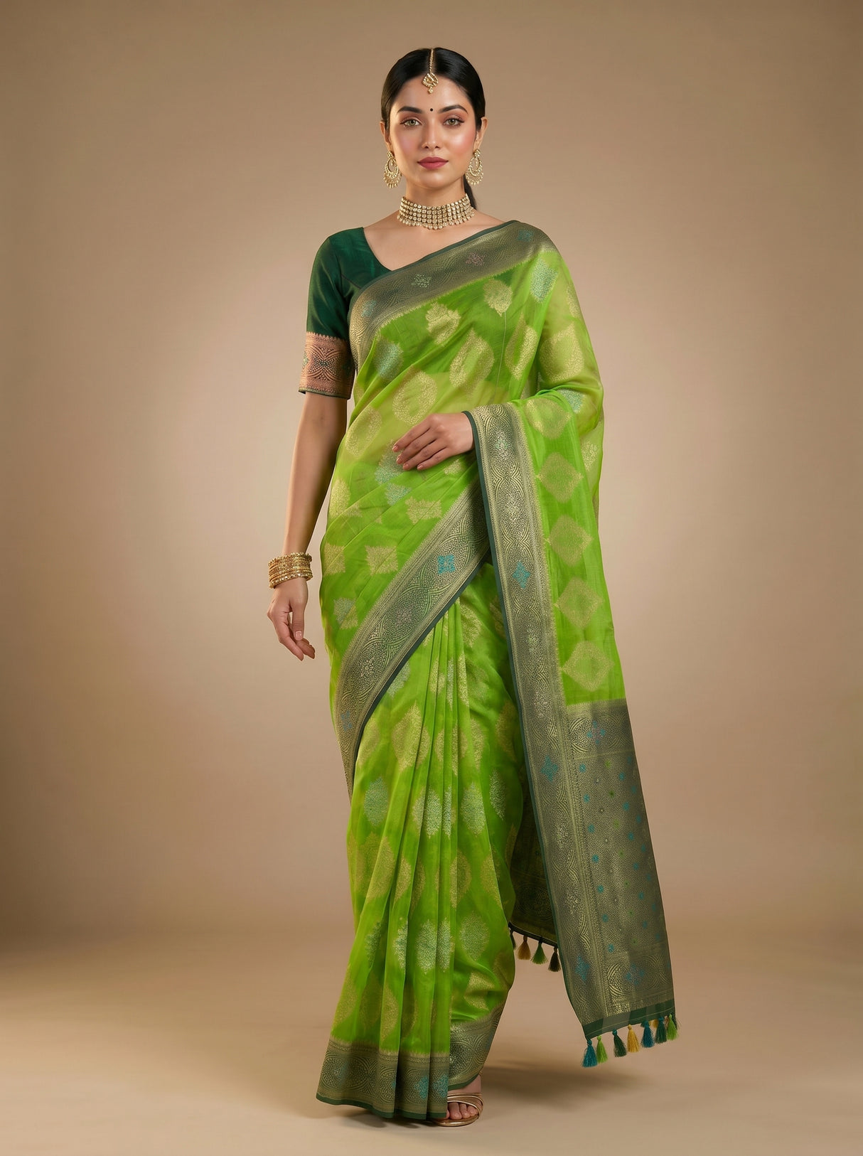 MIMOSA Saree Saree — pose 6 styling detail