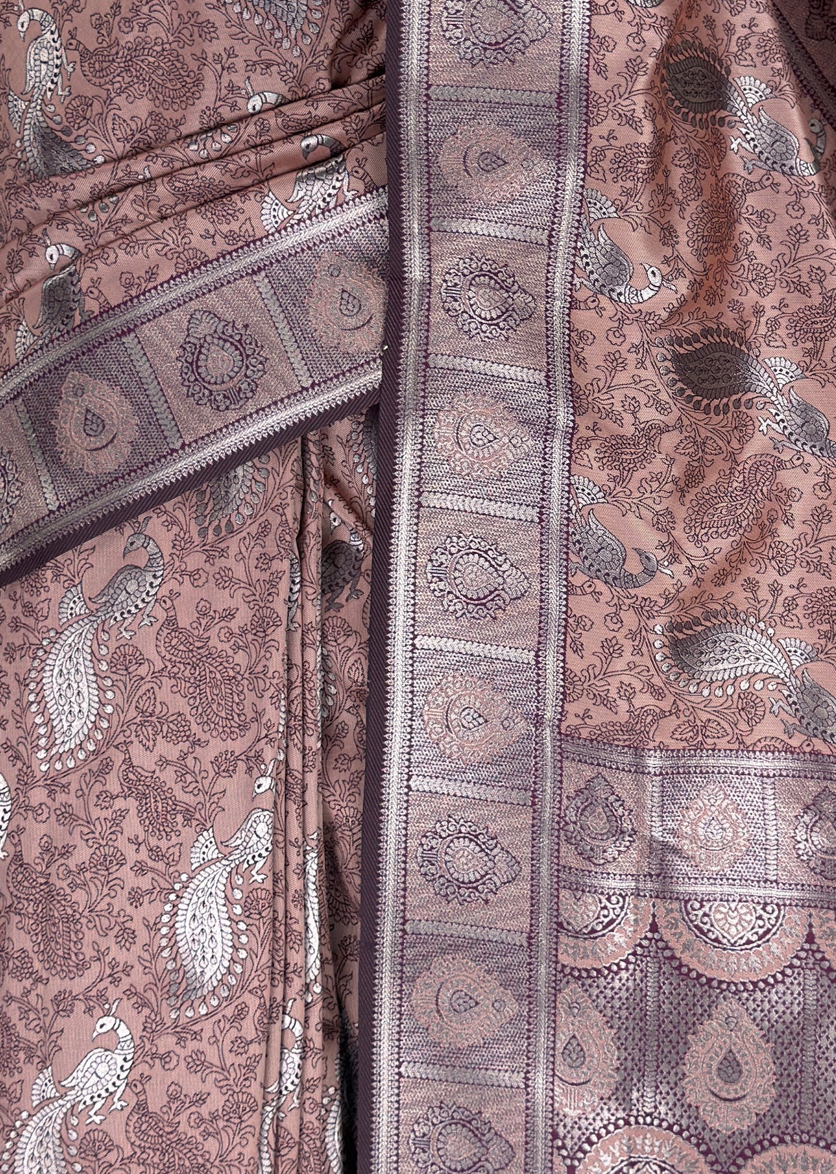MIMOSA Saree Saree — fleets shot full lifestyle