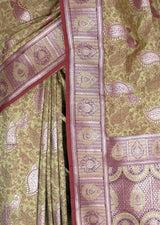 MIMOSA Saree Saree — fleets shot full lifestyle