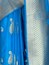 MIMOSA Saree Saree — fleets shot full lifestyle