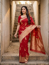 MIMOSA Saree Saree — pose 5 styling detail