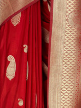 MIMOSA Saree Saree — fleets shot full lifestyle