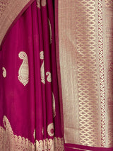 MIMOSA Saree Saree — fleets shot full lifestyle