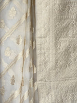 MIMOSA Saree Saree — fleets shot full lifestyle