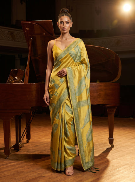 MIMOSA Saree Saree — front view on mannequin