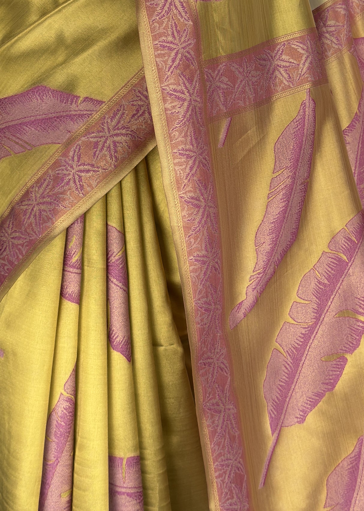 MIMOSA Saree Saree — fleets shot full lifestyle