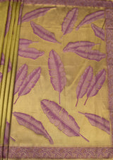 MIMOSA Saree Saree — pallu and zari work detail