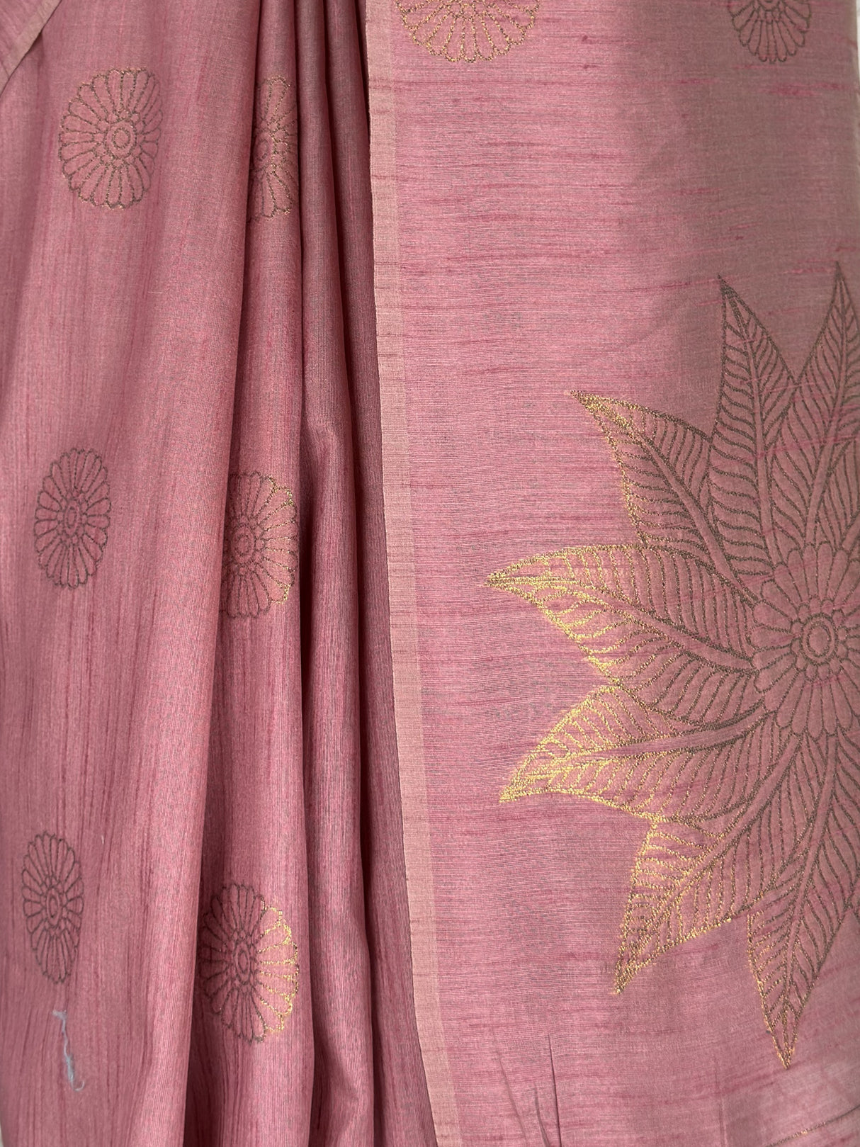 MIMOSA Saree Saree — fleets shot full lifestyle