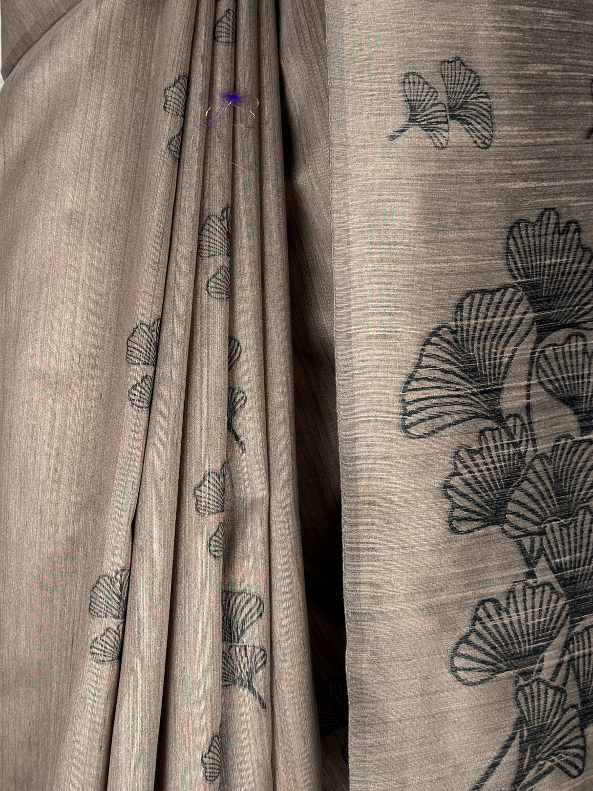 MIMOSA Saree Saree — fleets shot full lifestyle