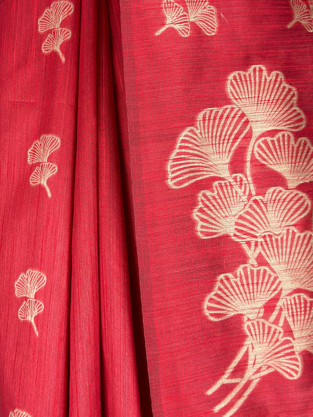 MIMOSA Saree Saree — fleets shot full lifestyle