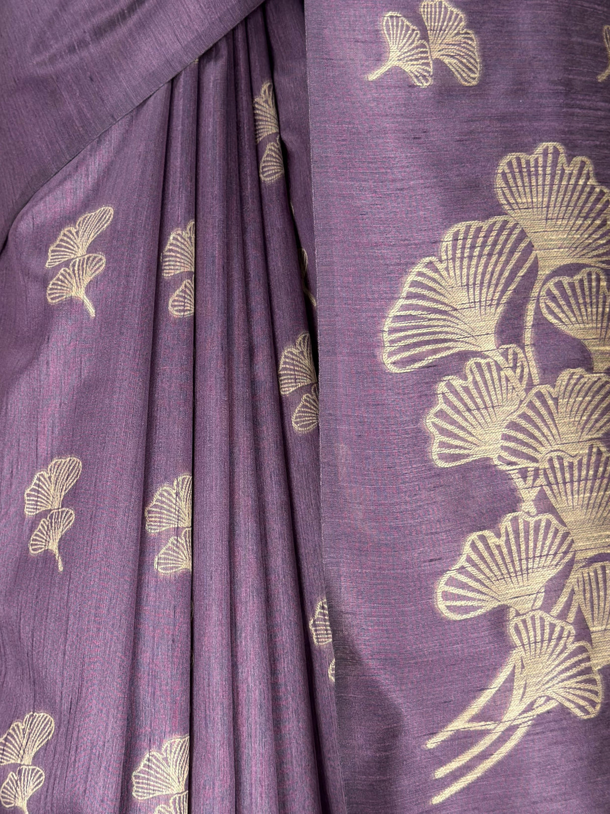 MIMOSA Saree Saree — fleets shot full lifestyle