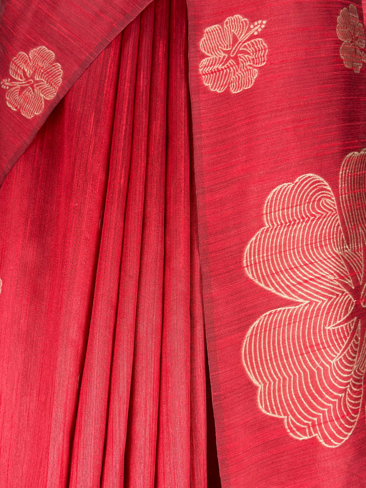 MIMOSA Saree Saree — fleets shot full lifestyle