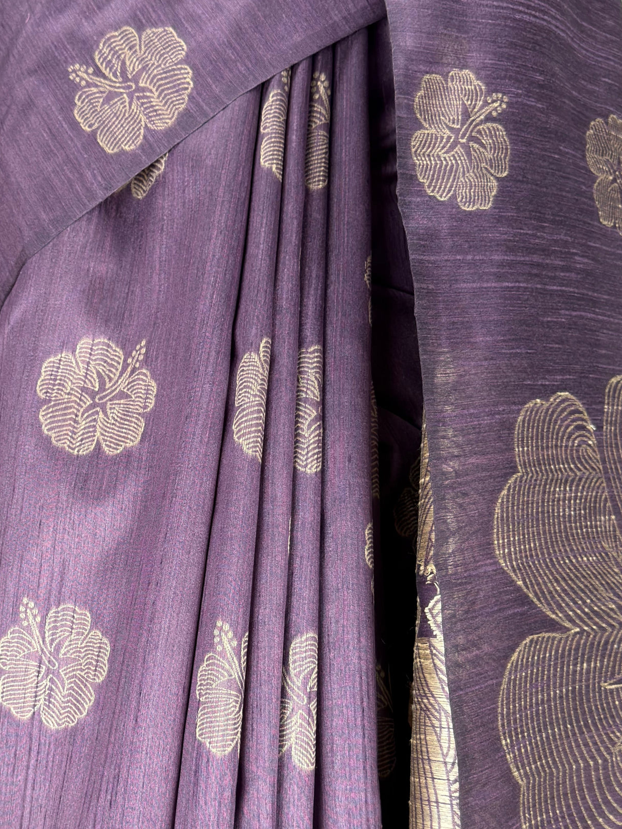 MIMOSA Saree Saree — fleets shot full lifestyle