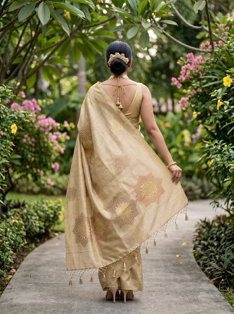 MIMOSA Saree Saree — pose 2 styling detail