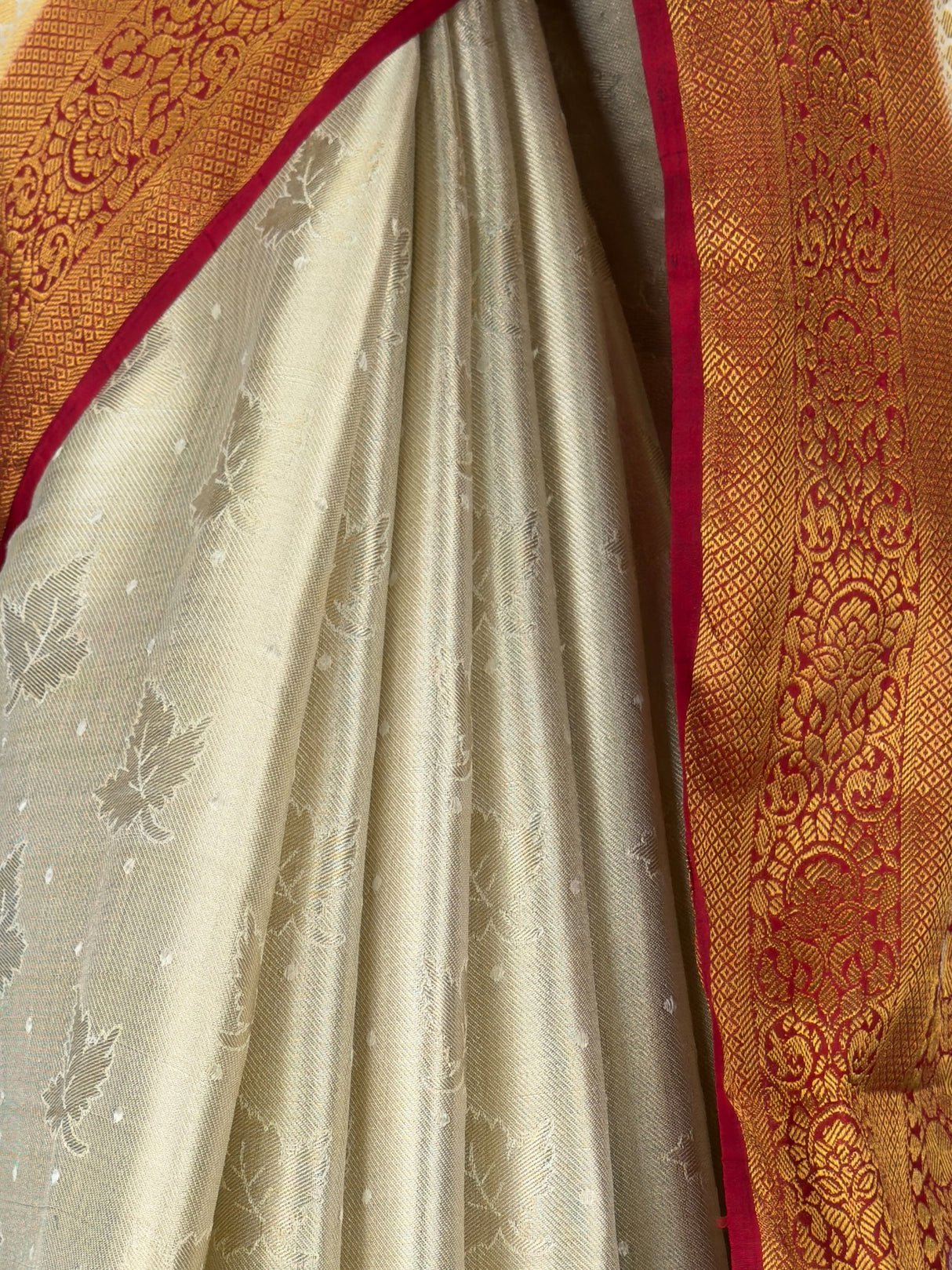 MIMOSA Saree Saree — fleets shot full lifestyle