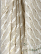 MIMOSA Saree Saree — fleets shot full lifestyle