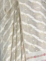 MIMOSA Saree Saree — fleets shot full lifestyle