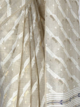 MIMOSA Saree Saree — fleets shot full lifestyle