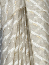 MIMOSA Saree Saree — fleets shot full lifestyle