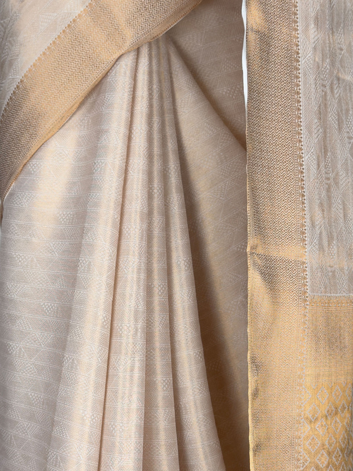 MIMOSA Saree Saree — fleets shot full lifestyle