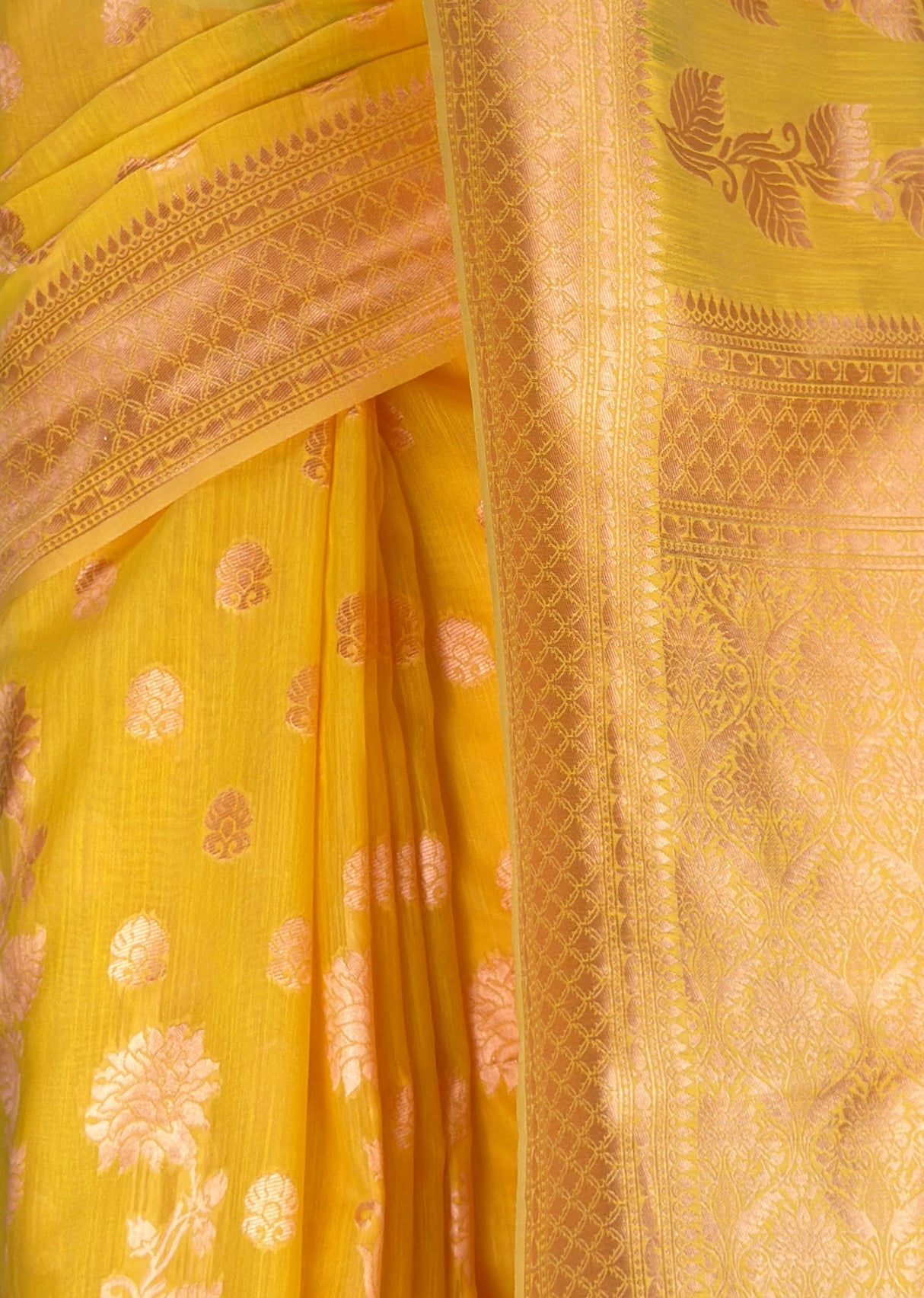 MIMOSA Gold Banarasi Linen Saree — fleets shot full lifestyle