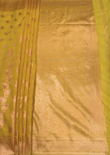MIMOSA Gold Banarasi Linen Saree — pallu and zari work detail
