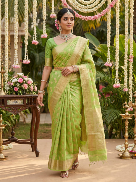 MIMOSA Pista Banarasi Linen Saree — Draped on Mannequin