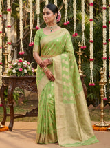 MIMOSA Pista Banarasi Linen Saree — Full View on Model